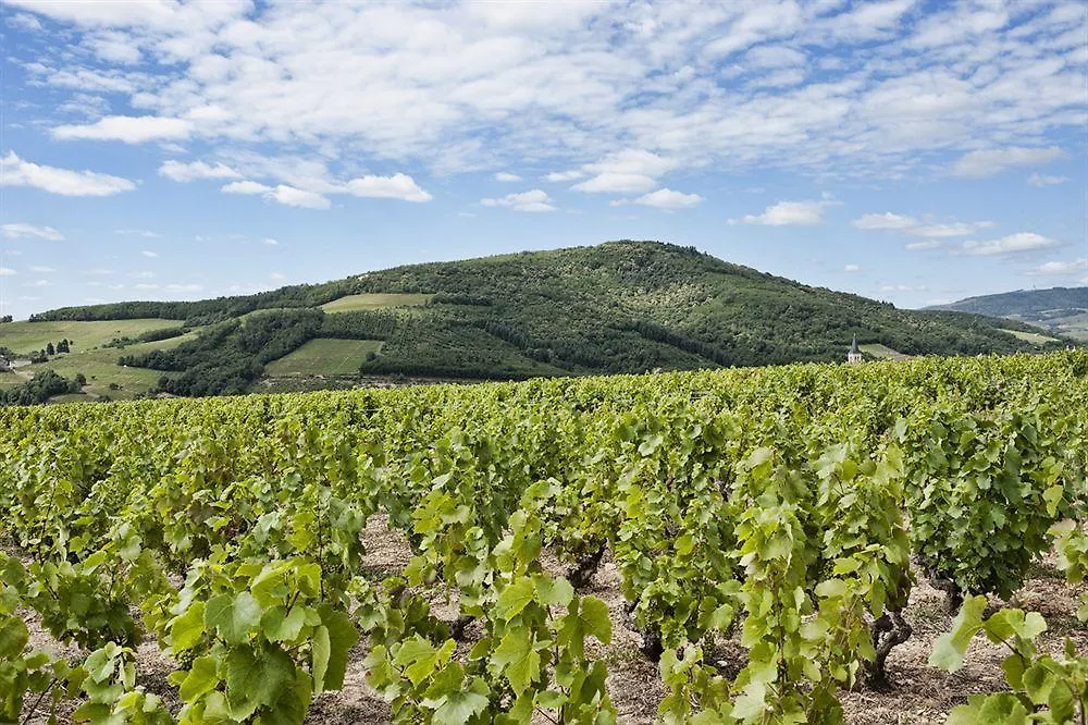 Hotel Des Vignes Juliénas 3*,  Francia